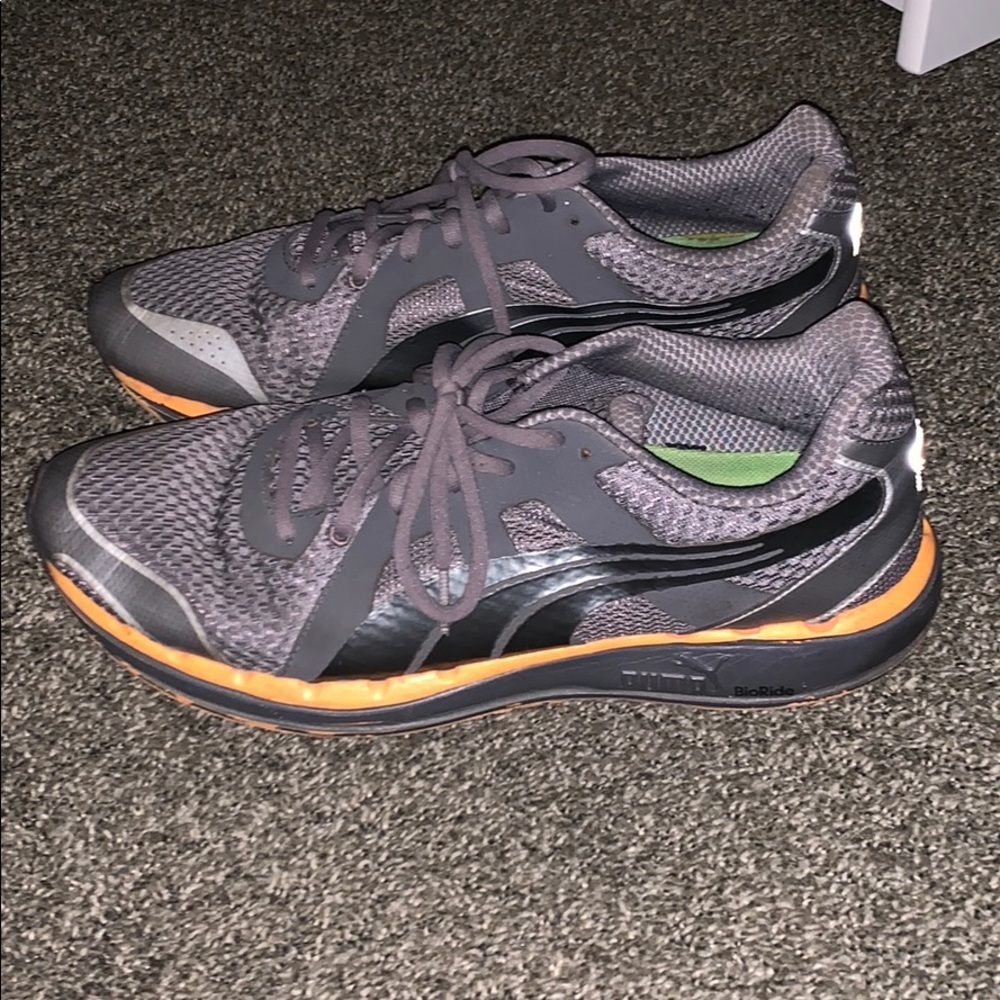 grey and orange pumas
